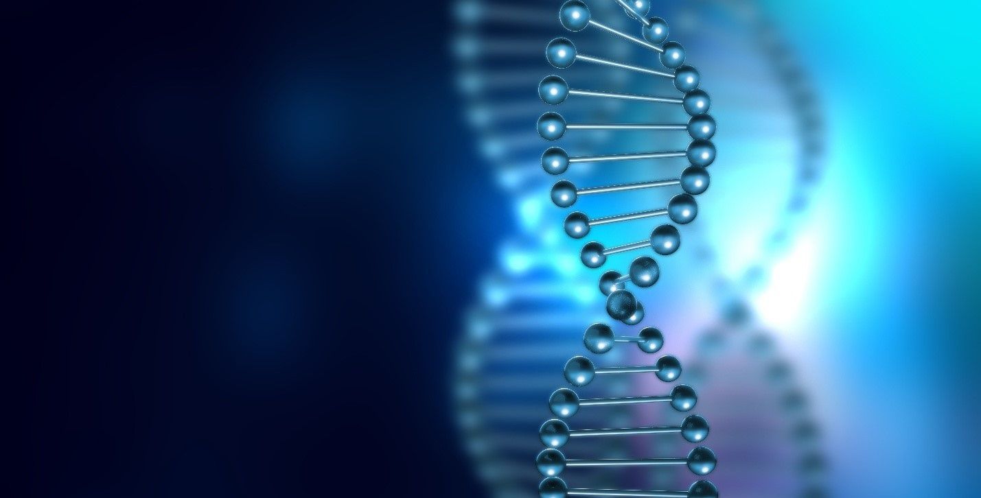 A close-up representation of a double helix DNA structure with blue and silver spheres, set against a softly blurred gradient background of blue and teal colors.