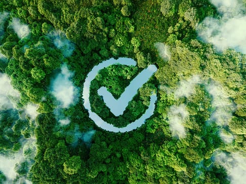 Aerial view of a dense forest with a large checkmark symbol formed by a body of water, surrounded by lush greenery and mist.