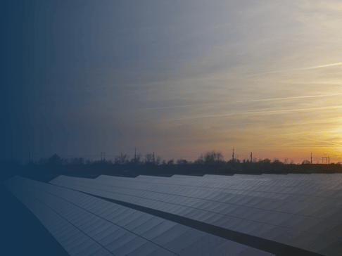 Solarpanel-Anlage unter einem Himmel mit sanften Farben bei Sonnenuntergang. Die Anlage erstreckt sich über das Bild mit einer ruhigen, ländlichen Kulisse im Hintergrund.