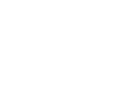 The image is completely blank with no visible content.