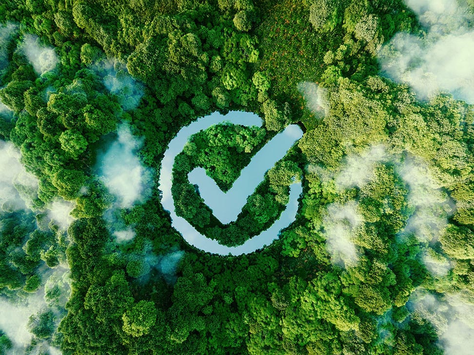 Aerial view of a dense forest with a large checkmark symbol formed by a body of water, surrounded by lush greenery and mist.
